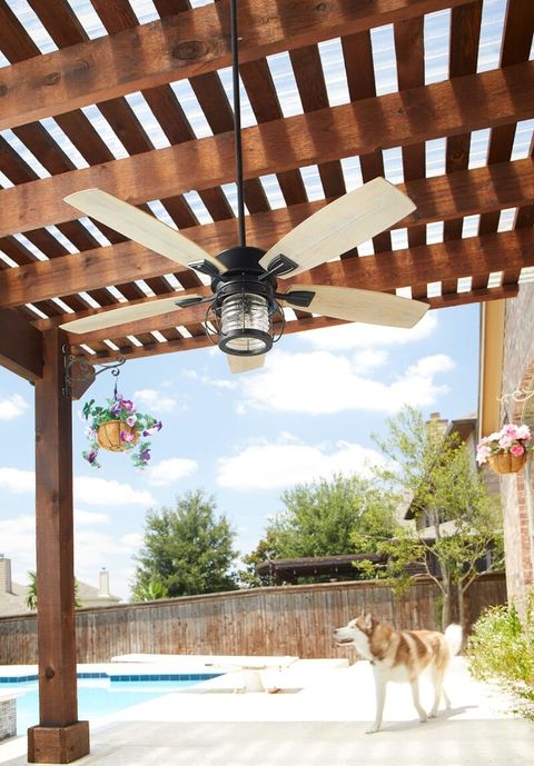 Outdoor Fans with regard to Enhancing Customer Experience Through Thoughtful Outdoor Air Circulation Solutions